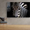 Equus Zebra Closeup B&W Print Tempered Glass Wall Art 100% Made in Australia Ready to Hang - Image 3