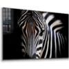 Equus Zebra Closeup B&W Print Tempered Glass Wall Art 100% Made in Australia Ready to Hang - Image 4