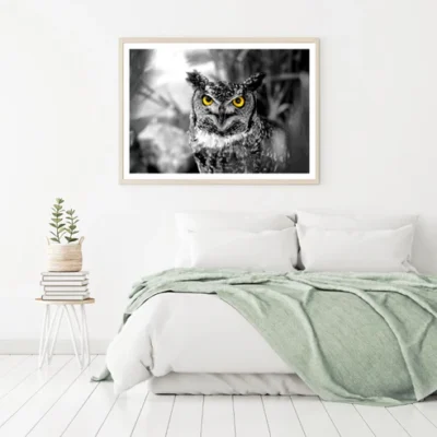 Owl Face Portrait Photograph Home Decor Premium Quality Poster Print Choose Your Sizes