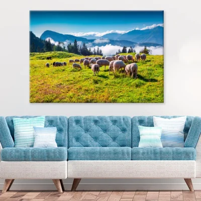 Sheep On Alpine Pasture In Summer Print 100% Australian Made