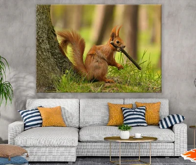 Red Squirrel Under the Tree Closeup Photograph Print 100% Australian Made