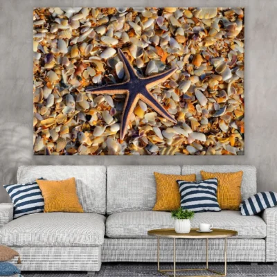 Starfish on Sea Shell Closeup Photograph Print 100% Australian Made