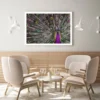 Peacock Closeup Photograph Home Decor Premium Quality Poster Print Choose Your Sizes