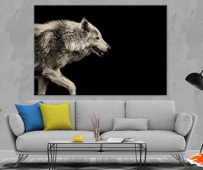 Wolf Closeup Side View Photograph Print 100% Australian Made