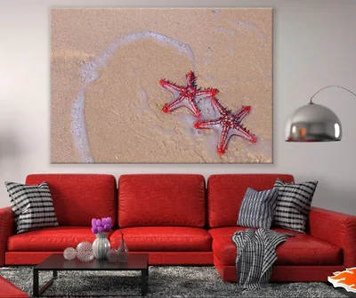 Starfish on Beach Closeup Photograph Print 100% Australian Made