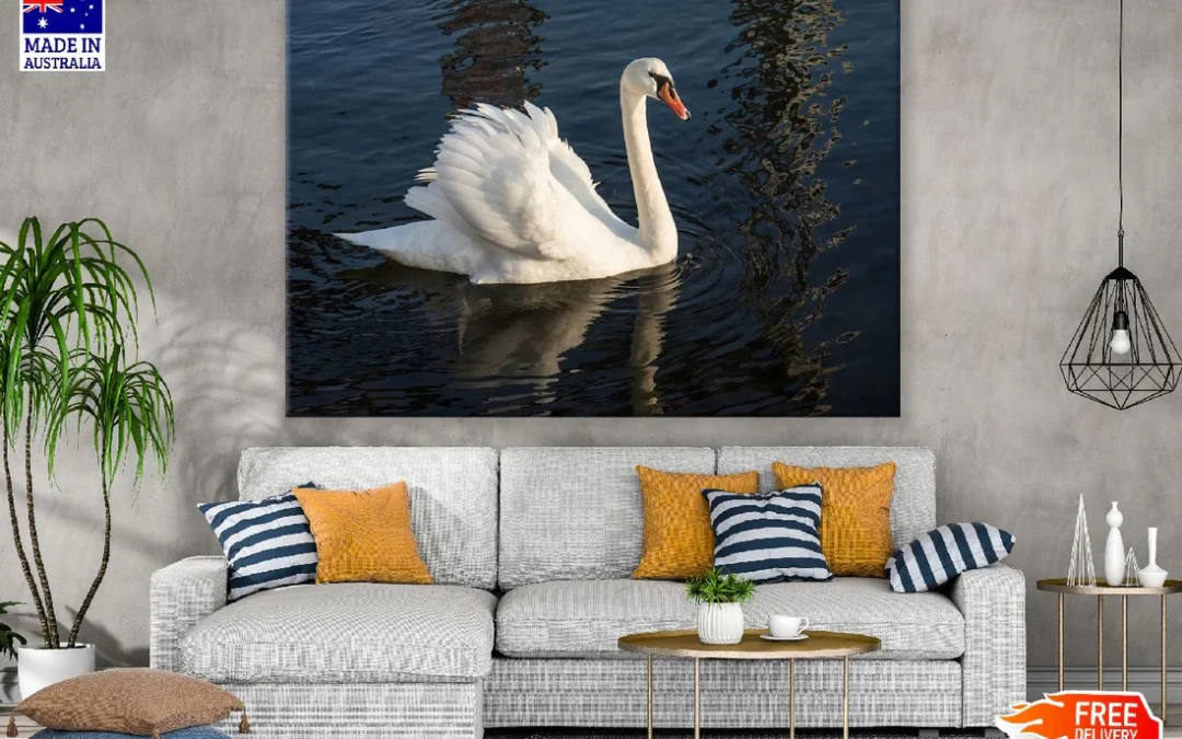 Swan Bird on Sea Closeup Photograph Print 100% Australian Made
