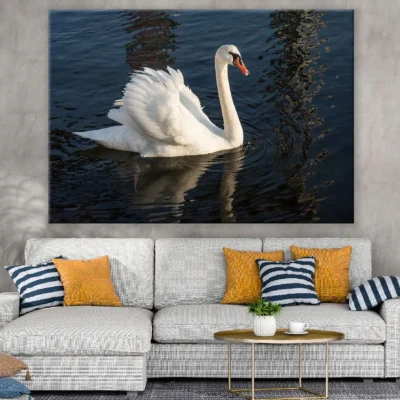 Swan Bird on Sea Closeup Photograph Print 100% Australian Made