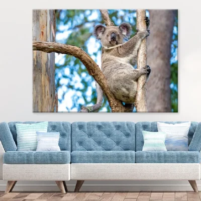 Koala Bear on Tree Branch View Photograph Print 100% Australian Made