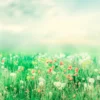 Beautiful Vintage Summer Landscape with Sun & Flowers Acrylic Glass Print Tempered Glass Wall Art 100% Made in Australia Ready to Hang - Image 3