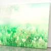 Beautiful Vintage Summer Landscape with Sun & Flowers Acrylic Glass Print Tempered Glass Wall Art 100% Made in Australia Ready to Hang - Image 4
