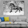 Running Horse B&W View Photograph Print 100% Australian Made