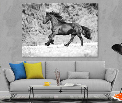 Running Horse B&W View Photograph Print 100% Australian Made