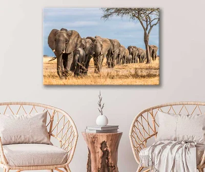 Bella Home Elephants Tree Walking & Tree View Print Canvas Ready to hang