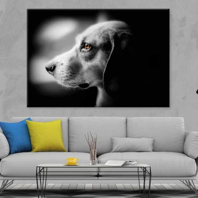 Orange Eye Dog B&W Photograph Print 100% Australian Made