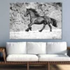 Running Horse B&W View Photograph Print 100% Australian Made - Image 3