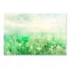Beautiful Vintage Summer Landscape with Sun & Flowers Acrylic Glass Print Tempered Glass Wall Art 100% Made in Australia Ready to Hang - Image 5