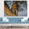 Jaguar in a Tree Closeup Photograph Print 100% Australian Made