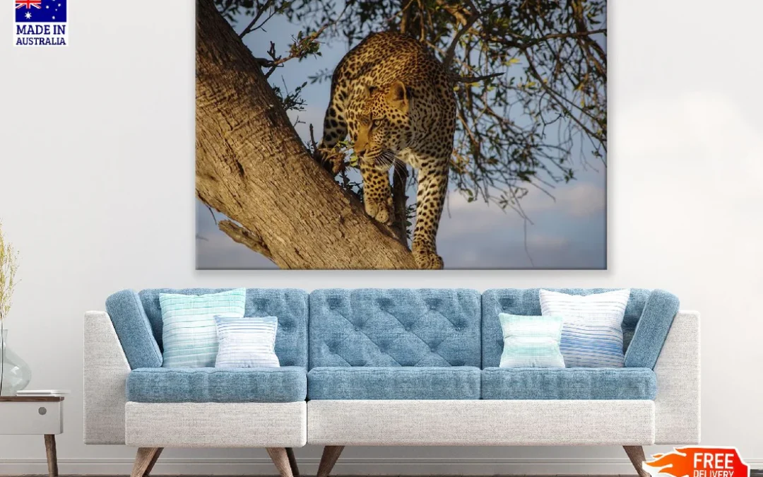Jaguar in a Tree Closeup Photograph Print 100% Australian Made
