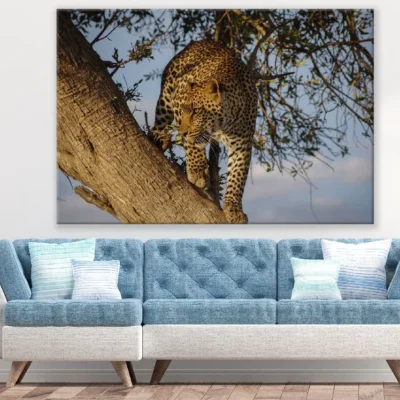 Jaguar in a Tree Closeup Photograph Print 100% Australian Made