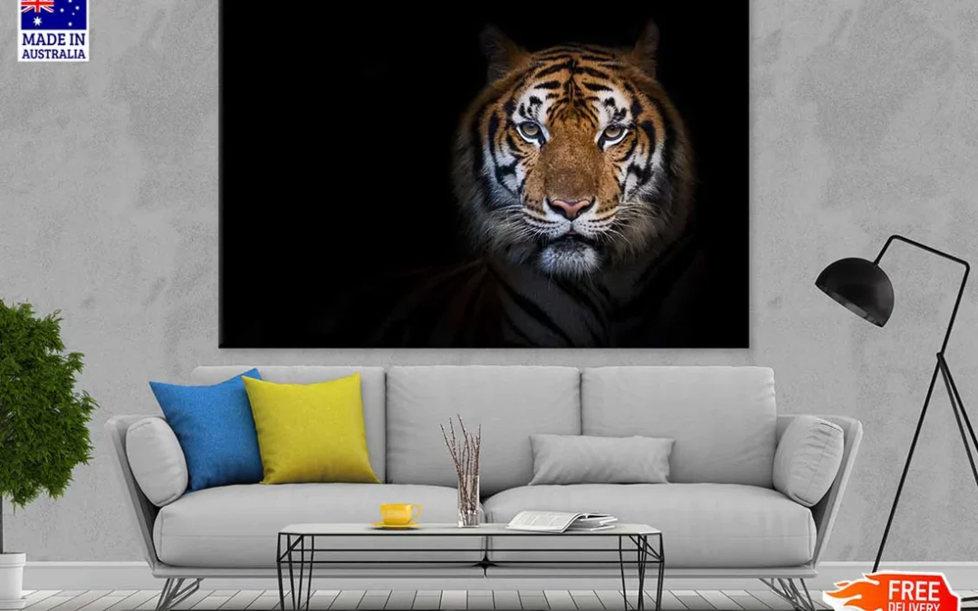 Tiger on Dark View Photograph Print 100% Australian Made