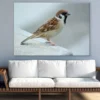 Sparrow Bird Closeup Photograph Print 100% Australian Made - Image 2