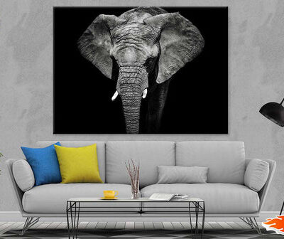 Elephant on Dark B&W Photograph Print 100% Australian Made