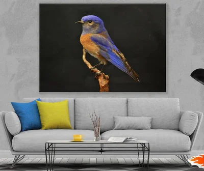 Blue and Brown Bird on Tree Trunk Photograph Print 100% Australian Made