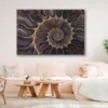 Bella Home Fossil Shell Macro Texture Art Design Print Canvas Ready to hang