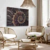 Bella Home Fossil Shell Macro Texture Art Design Print Canvas Ready to hang - Image 2
