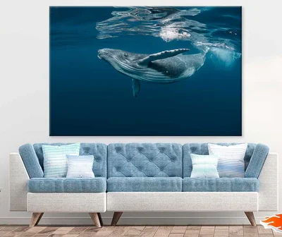 Blue Whale in Ocean Photograph Print 100% Australian Made