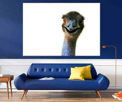 Ostrich Face Closeup Photograph Print 100% Australian Made
