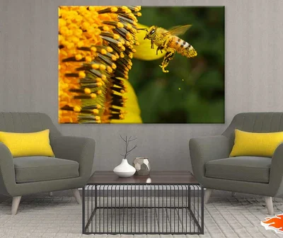 Bee on Yellow Flower Pollen Macro Photograph Print 100% Australian Made