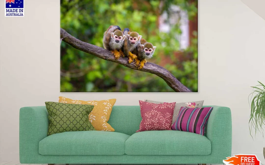 Funny Squirrel Monkeys Photograph Print 100% Australian Made