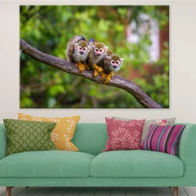 Funny Squirrel Monkeys Photograph Print 100% Australian Made
