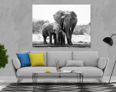 Lovely Elephant Print 100% Australian Made