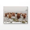 Bella Home Big Scottish Cow's Looking Print Canvas Ready to hang - Image 4