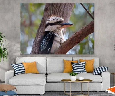 Kookaburra on Tree Closeup View Photograph Print 100% Australian Made