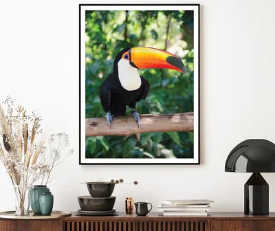 Largest And Best-Known Toucan Species Home Decor Premium Quality Poster Print Choose Your Sizes