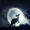 Full Moon Sky & Kangaroo View Photograph Print 100% Australian Made - Image 3