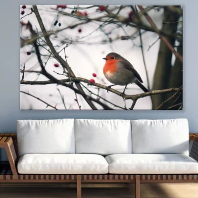 Red Chest Bird on Tree Photograph Print 100% Australian Made