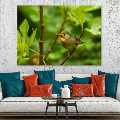 Leiothrix Bird Perched on Tree Photograph Print 100% Australian Made