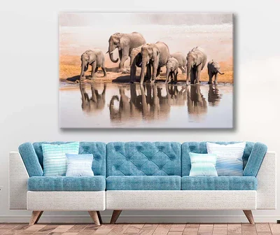 Bella Home Elephant Family Drinking Water From a Lake Print Canvas Ready to hang