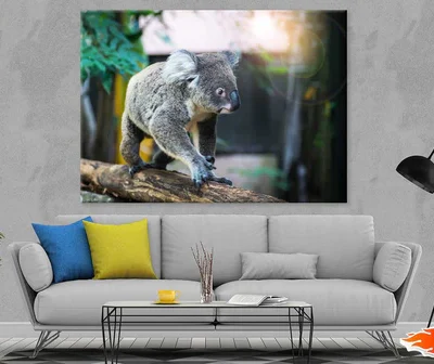 Koala Bear on Tree Branch View Photograph Print 100% Australian Made