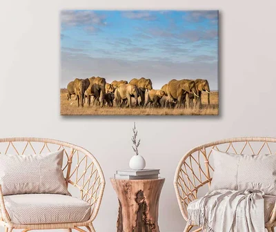 Bella Home Elephants on The Grass Field Print Canvas Ready to hang