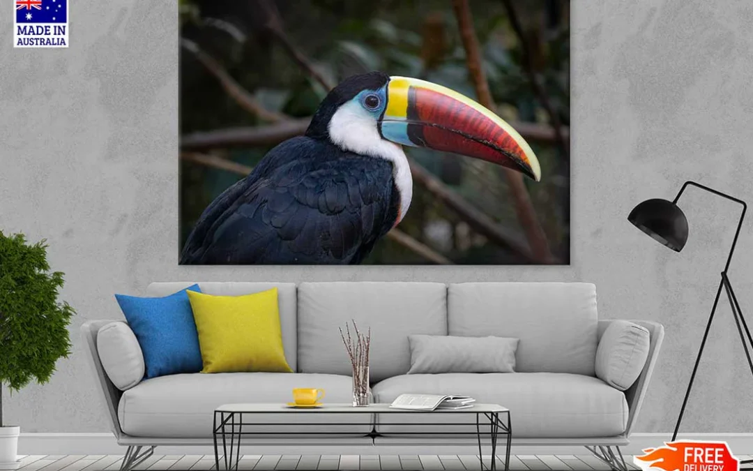 Toucans Bird Closeup Photograph Print 100% Australian Made