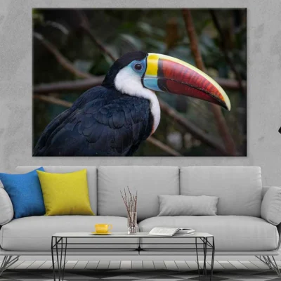 Toucans Bird Closeup Photograph Print 100% Australian Made