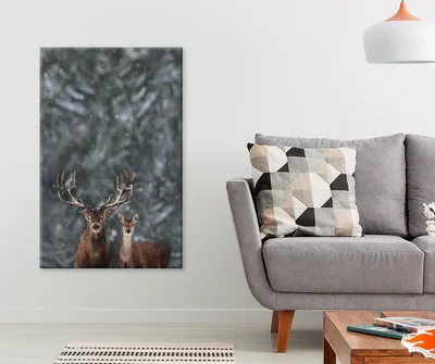 Deers In Forest & Winter View Photograph Print 100% Australian Made