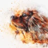 Dog Closeup Abstract Design Print 100% Australian Made - Image 2