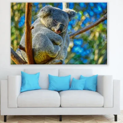 Koala Bear on Tree Branch Closeup Photograph Print 100% Australian Made