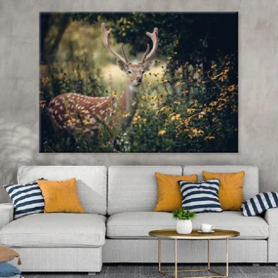 Whitetail Deer on Flower Field Photograph Print 100% Australian Made